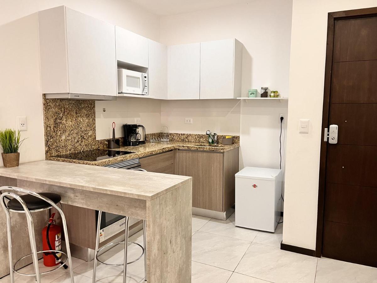 Departamento 1 Habitacion Zona Exclusiva อะซุนซิออง ภายนอก รูปภาพ